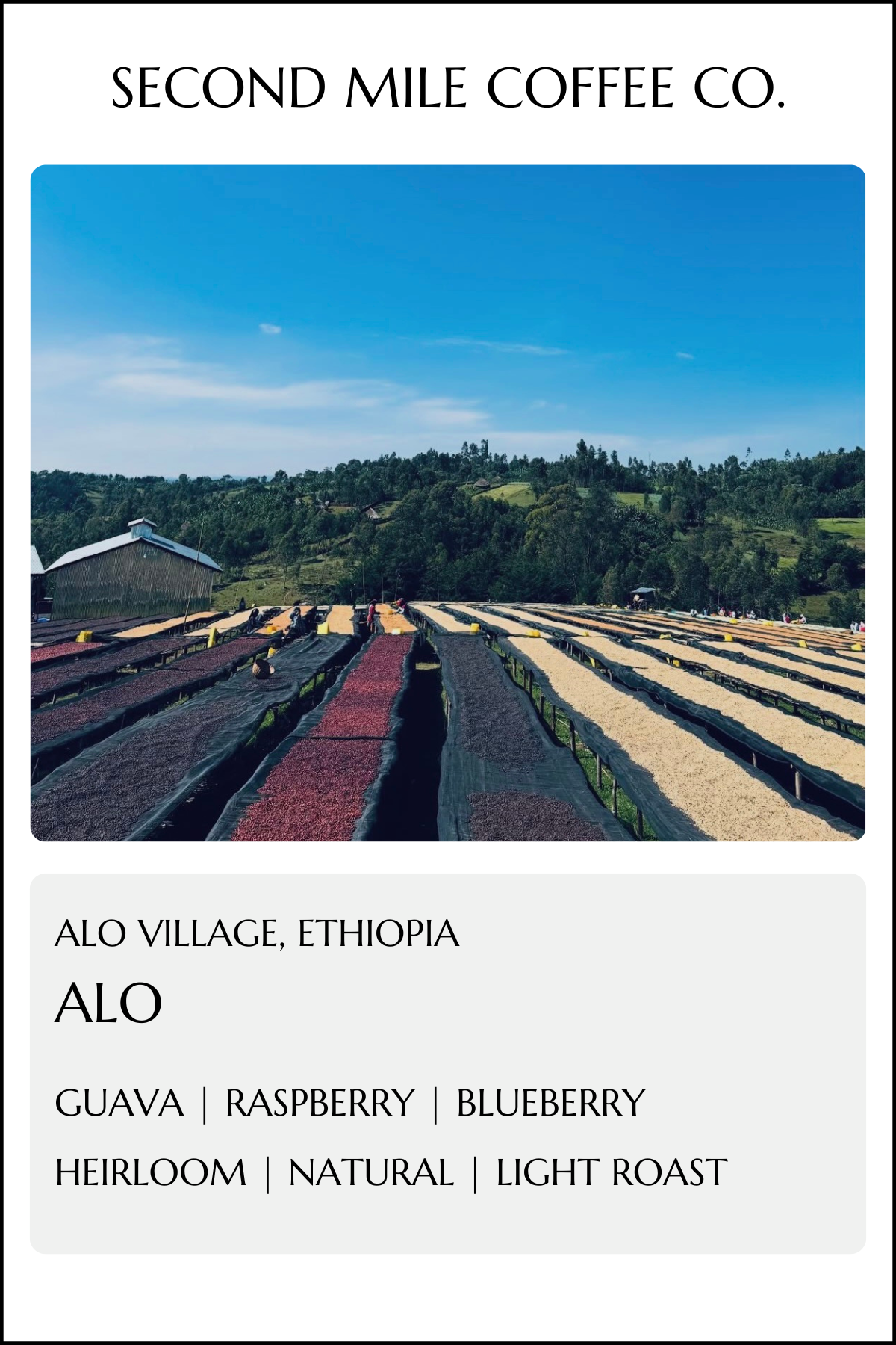 Ethiopia Alo Natural