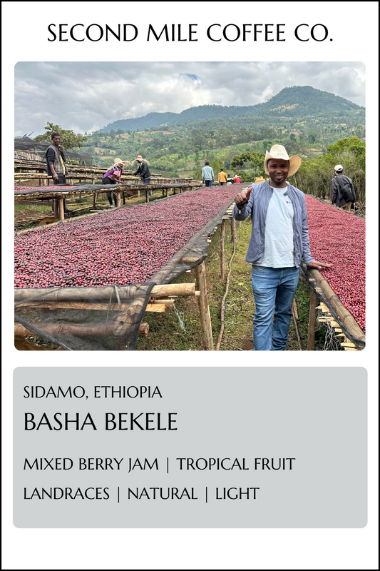 Ethiopia Basha Bekele Natural