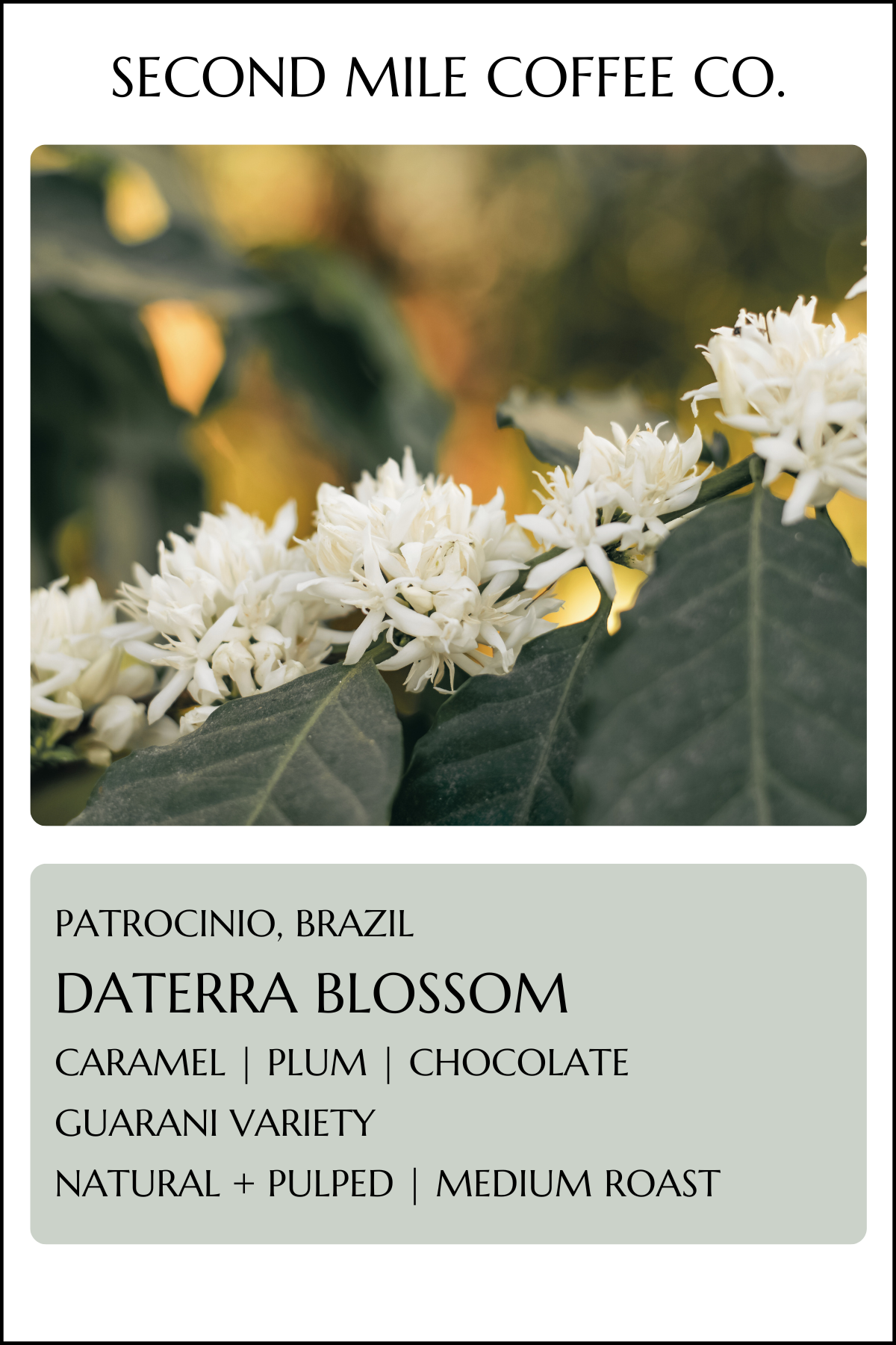 Brazil Daterra Blossom