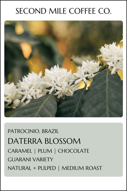 Brazil Daterra Blossom