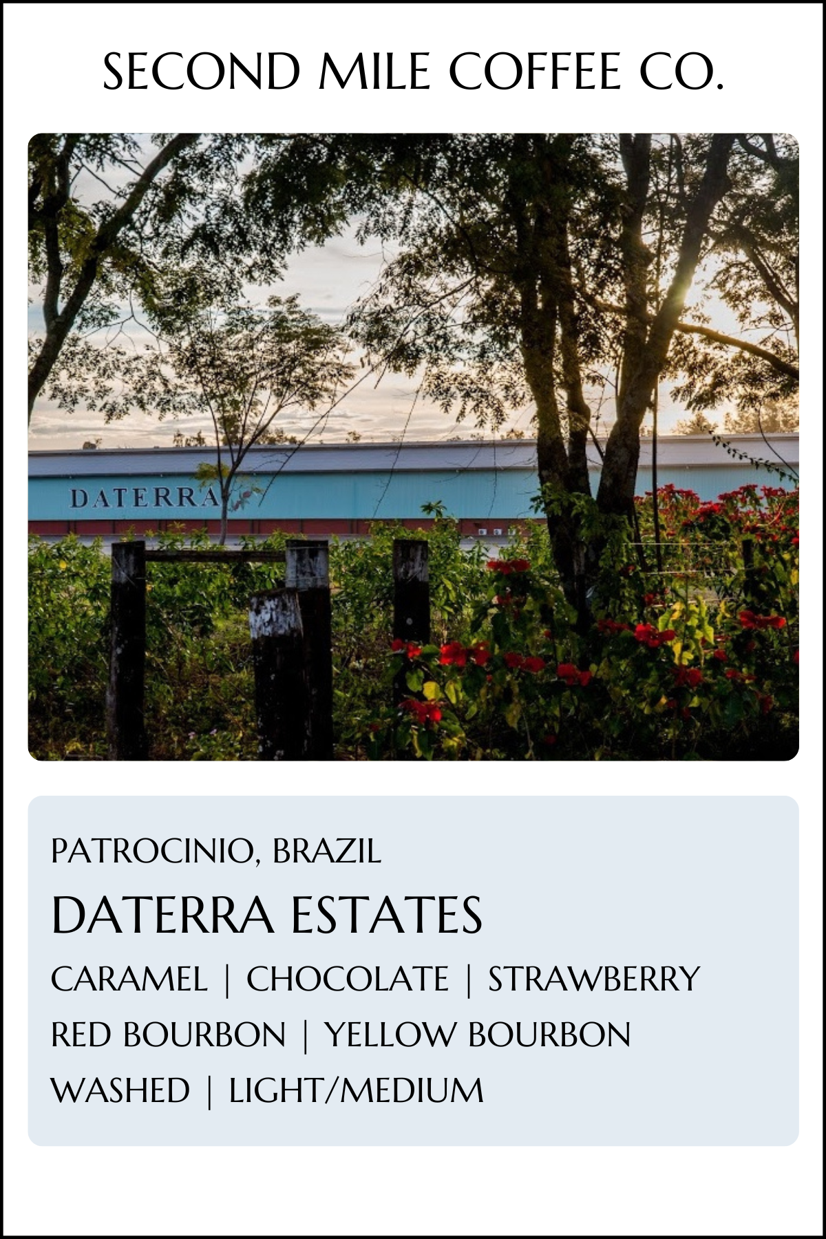 Brazil Daterra Bourbon