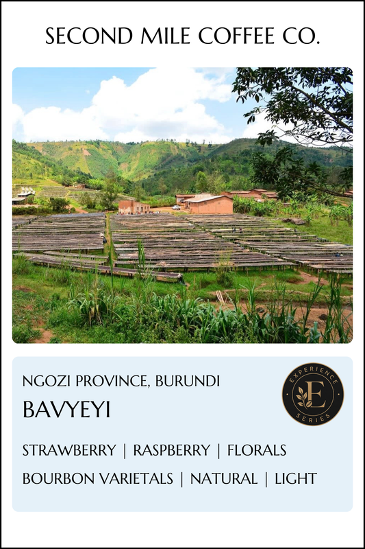 Burundi Bavyeyi Natural
