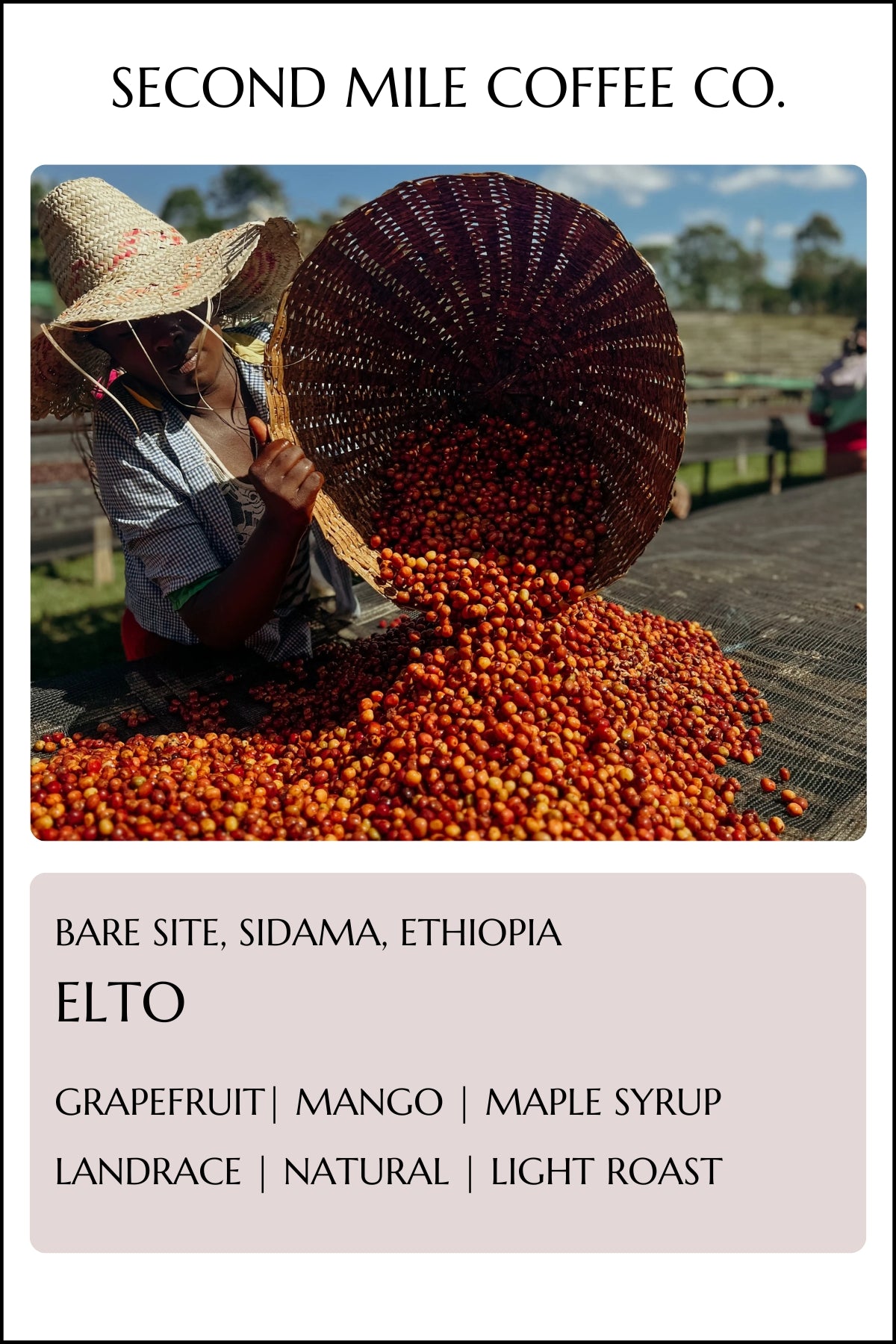 Ethiopia Elto Natural