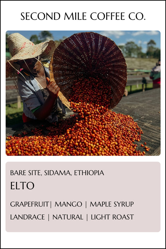 Ethiopia Elto Natural