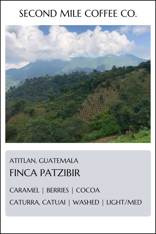 Guatemala Finca Patzibir Washed