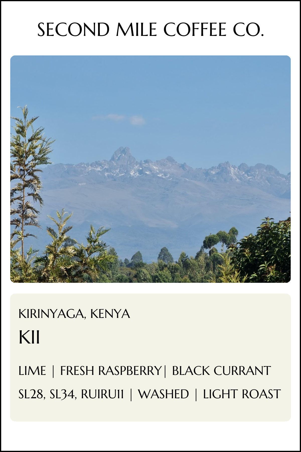 Kenya Kii Washed