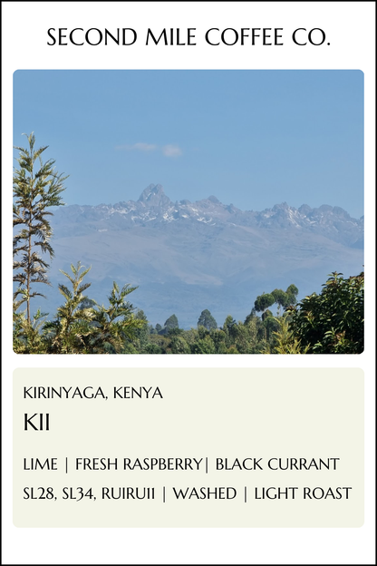 Kenya Kii Washed