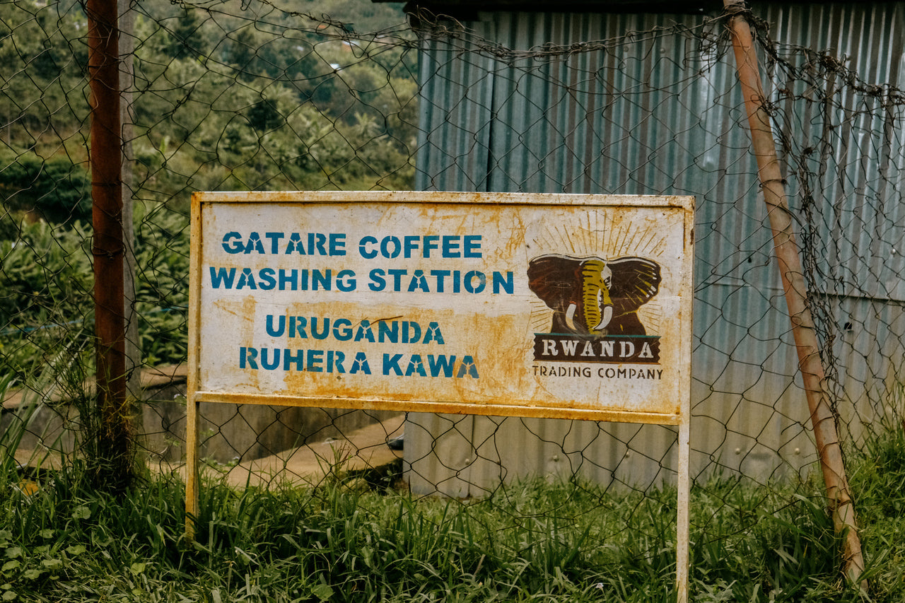 Rwanda Gatare Washed