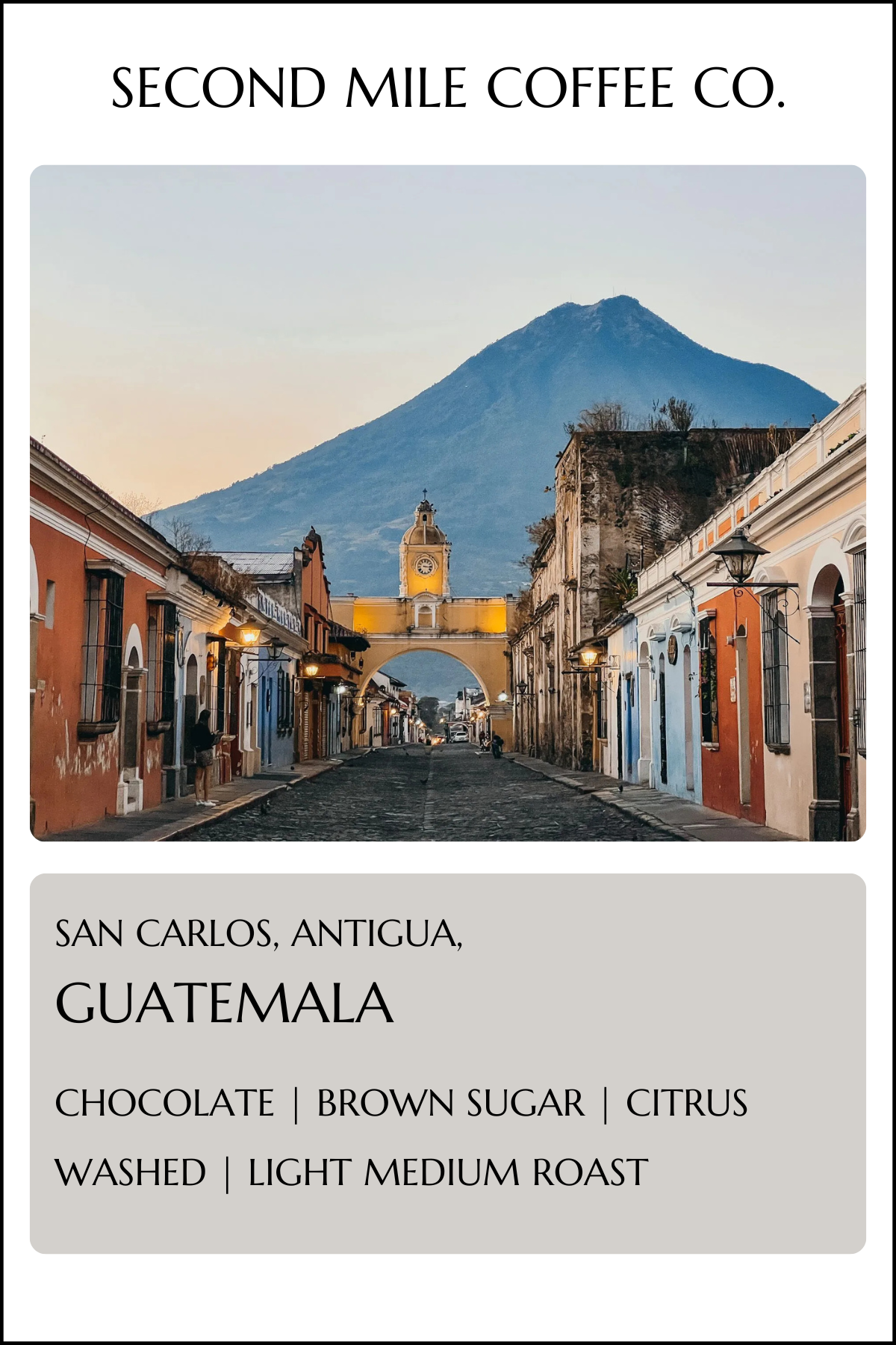 Guatemala San Carlos Washed